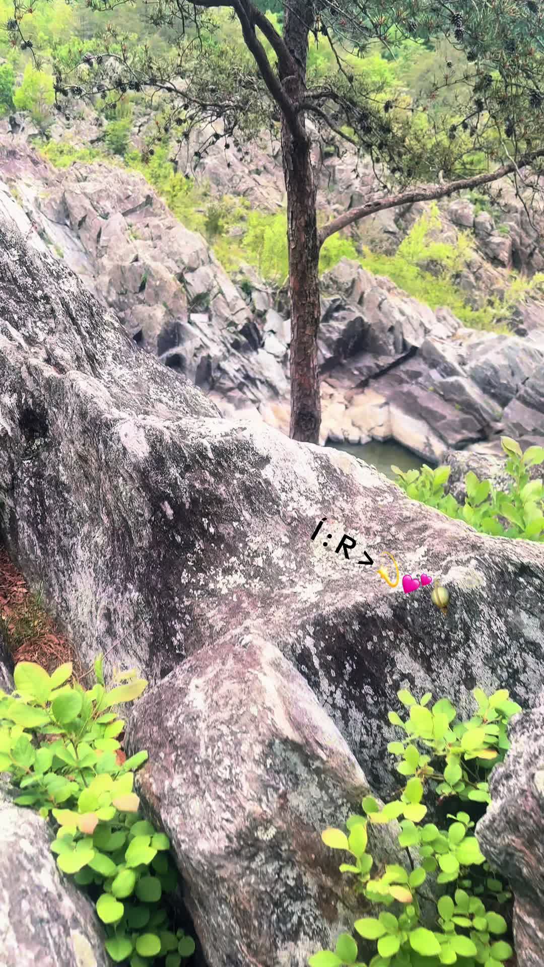 @R&icirc;cky 🥷 c&icirc;v&icirc;c