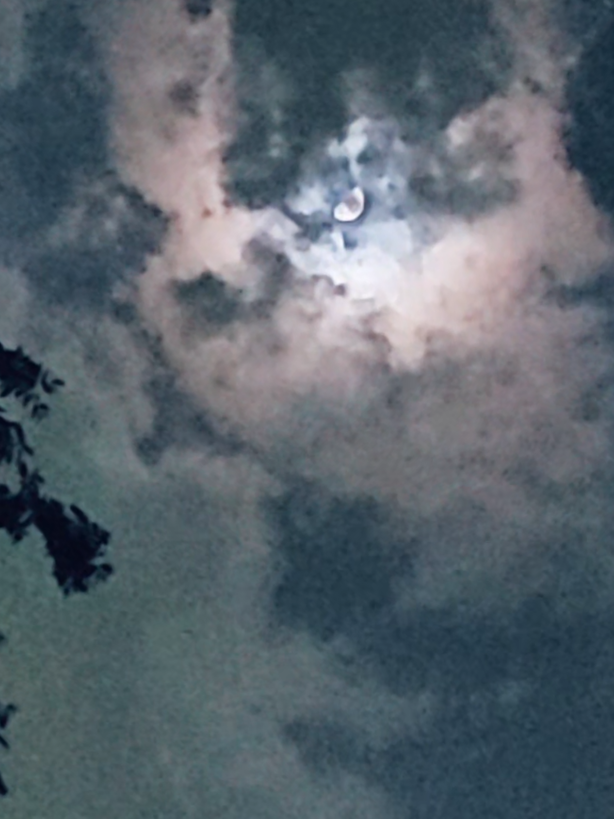 @✨️𝚂𝚊𝚖🌙✨️