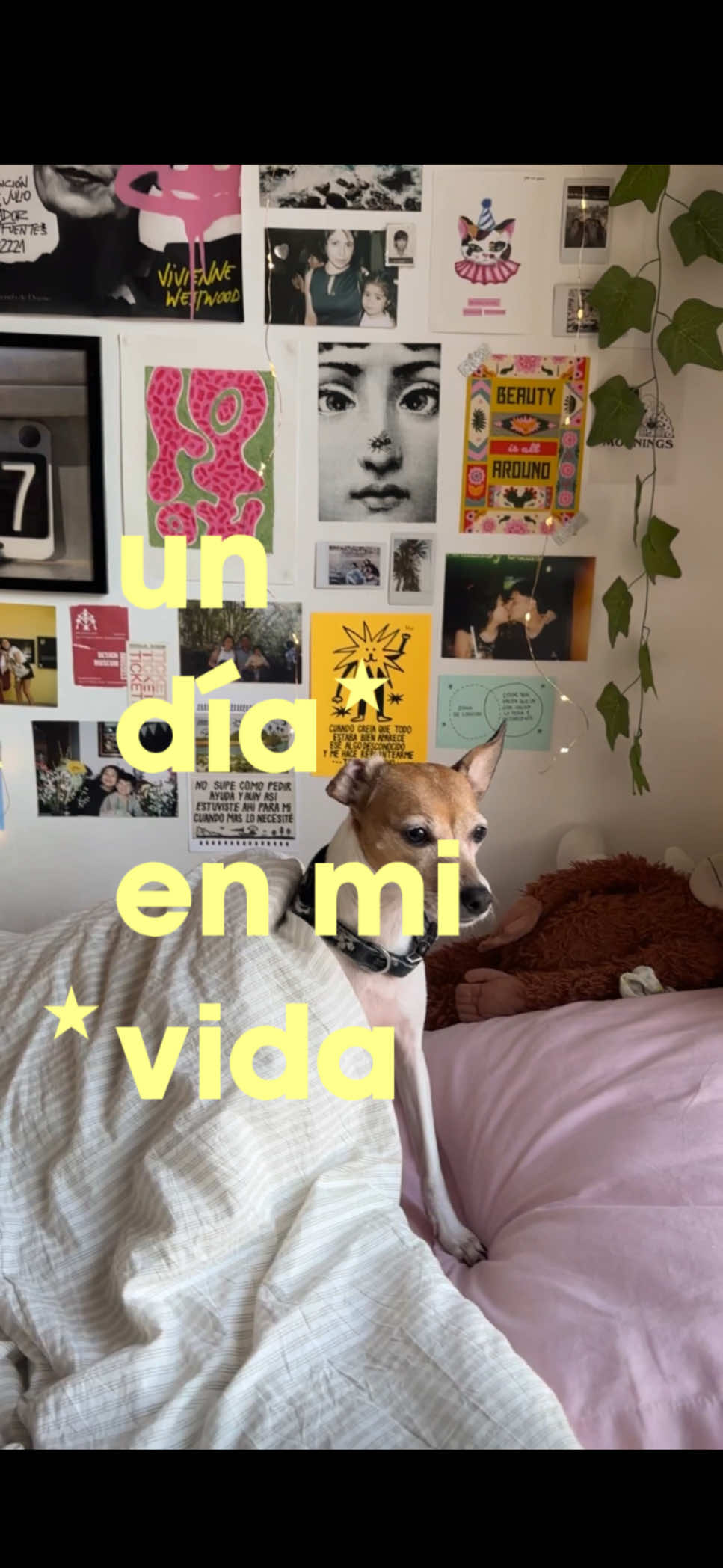 @catalina ⋆˚✿˖&deg; 𐙚