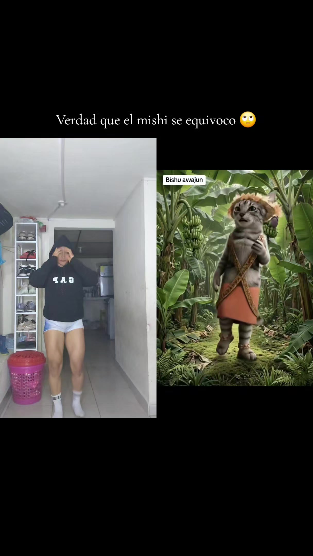 @𝑹𝒖𝒃𝒊_🍃🦁