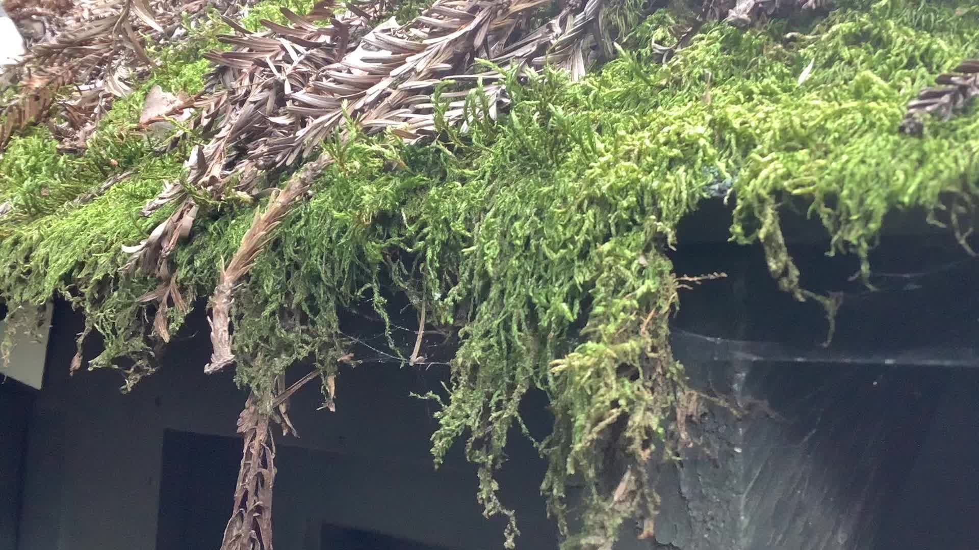 @URBEX NorCal
