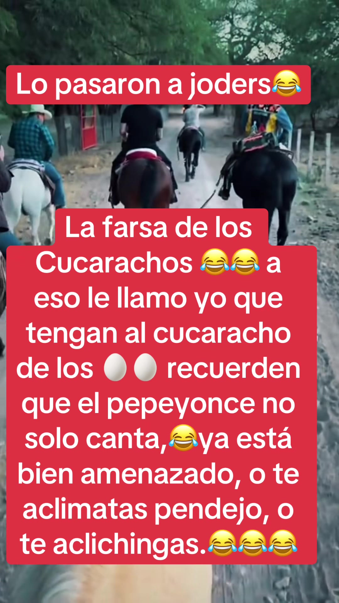 @Violeta Flor