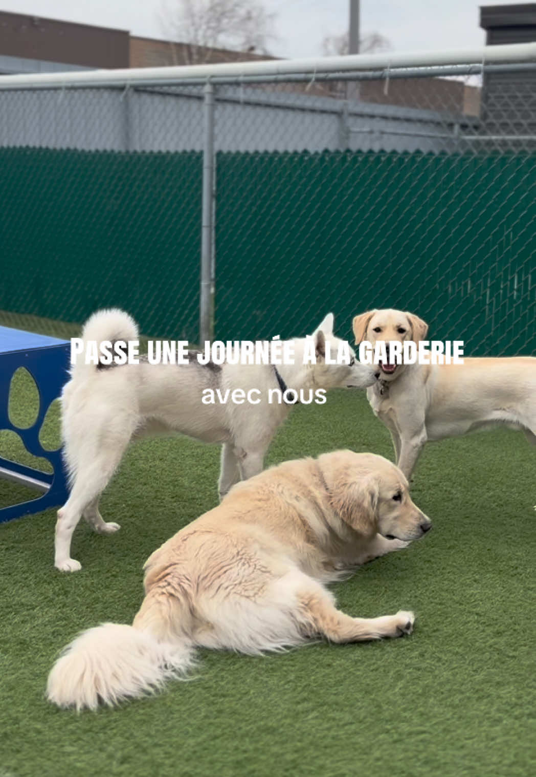 @centrecanindesruisseaux