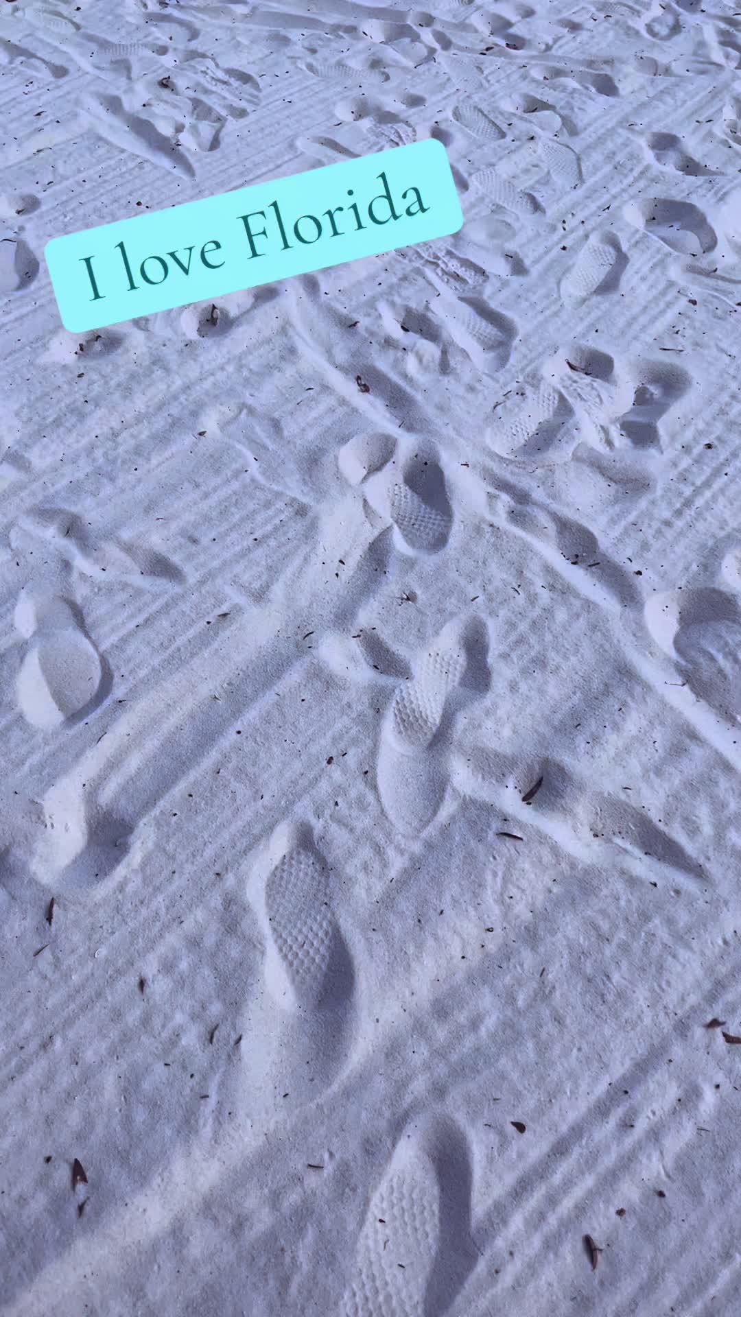 @ℂ𝕙𝕚'𝕤_𝕤𝕡𝕒𝕞🌊🐚🌞