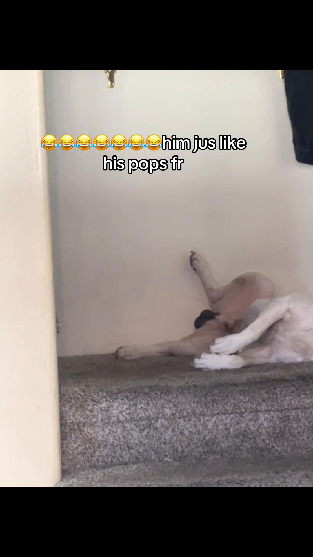 @j4bleeda