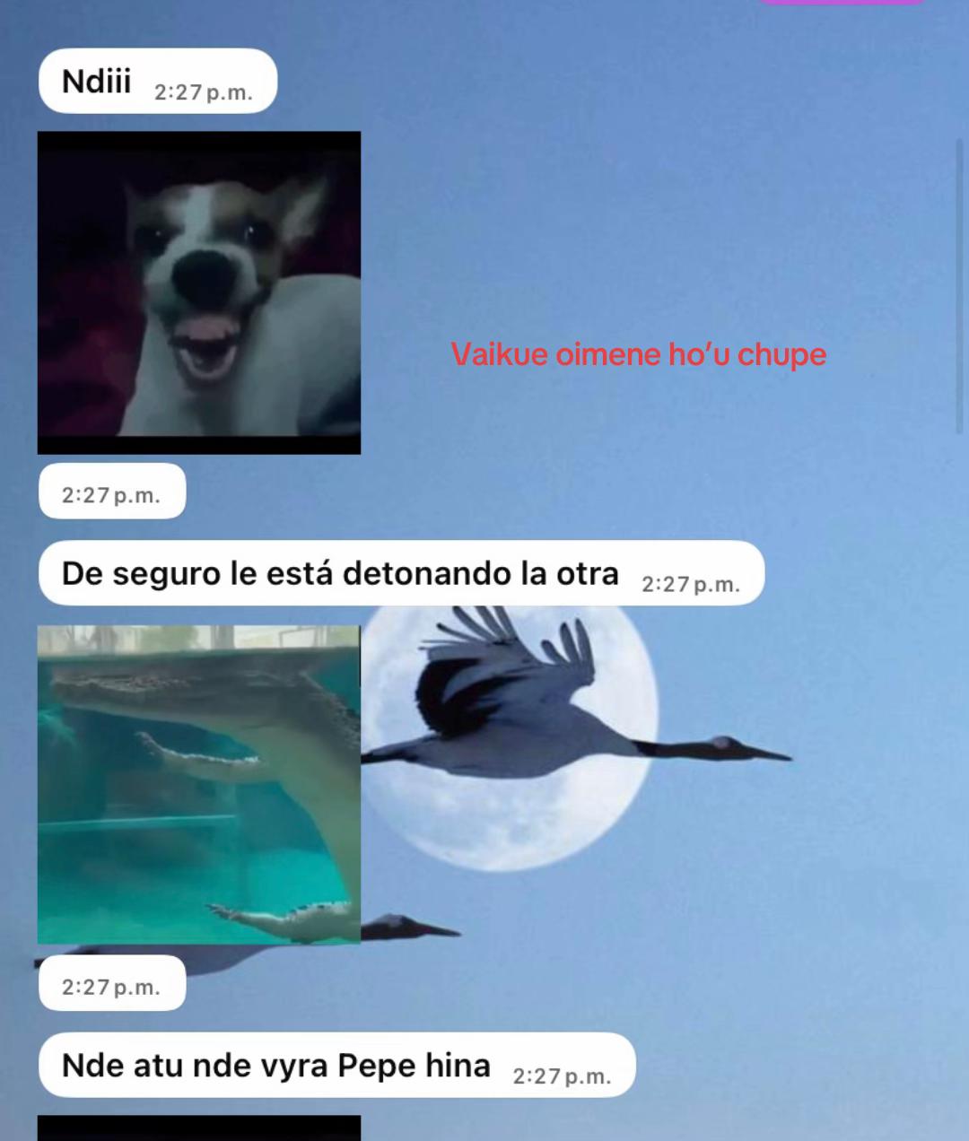 @Marielita 🦋