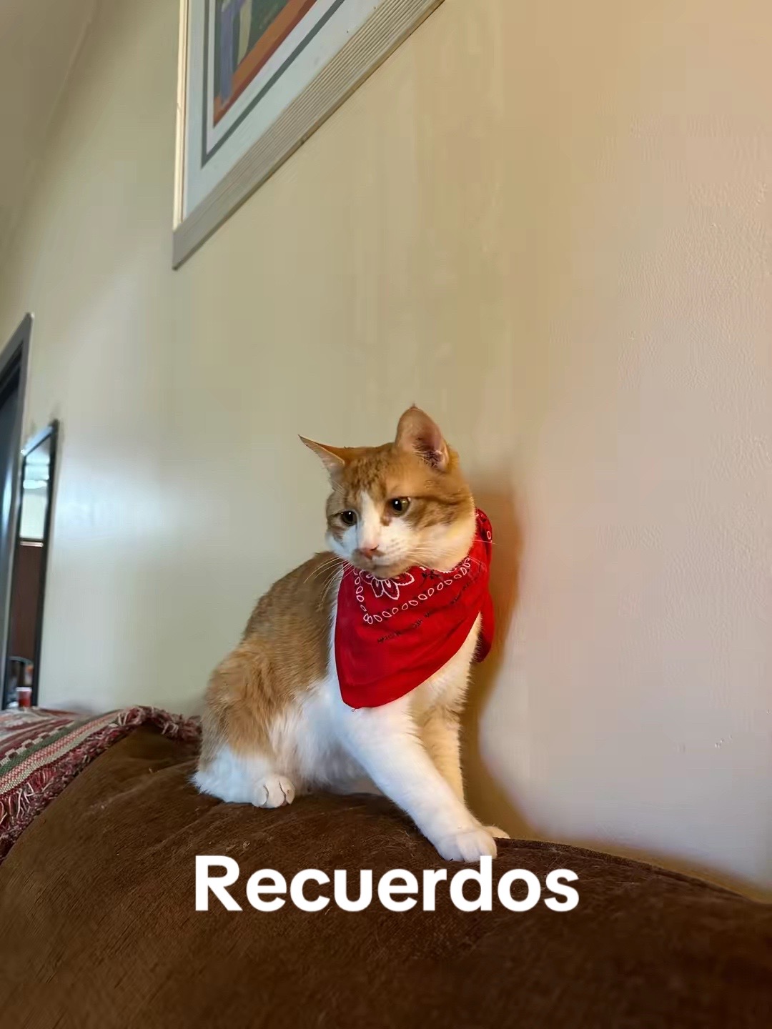 @🐾✨SNELBOY😻😽😸😸😸🐕🐕🧡✨