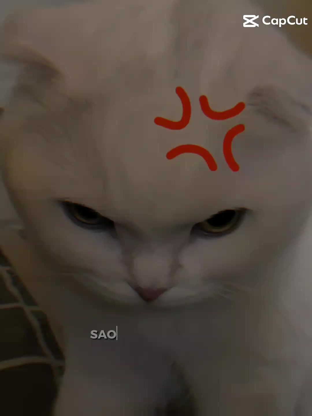 @𝙱𝚎𝚛𝚞𝚊𝟸𝟶𝟸𝟼