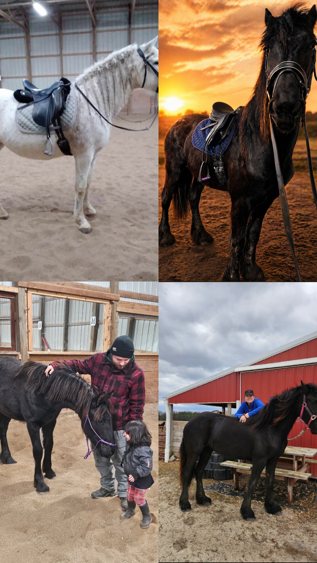 @Kismet Farm Crew