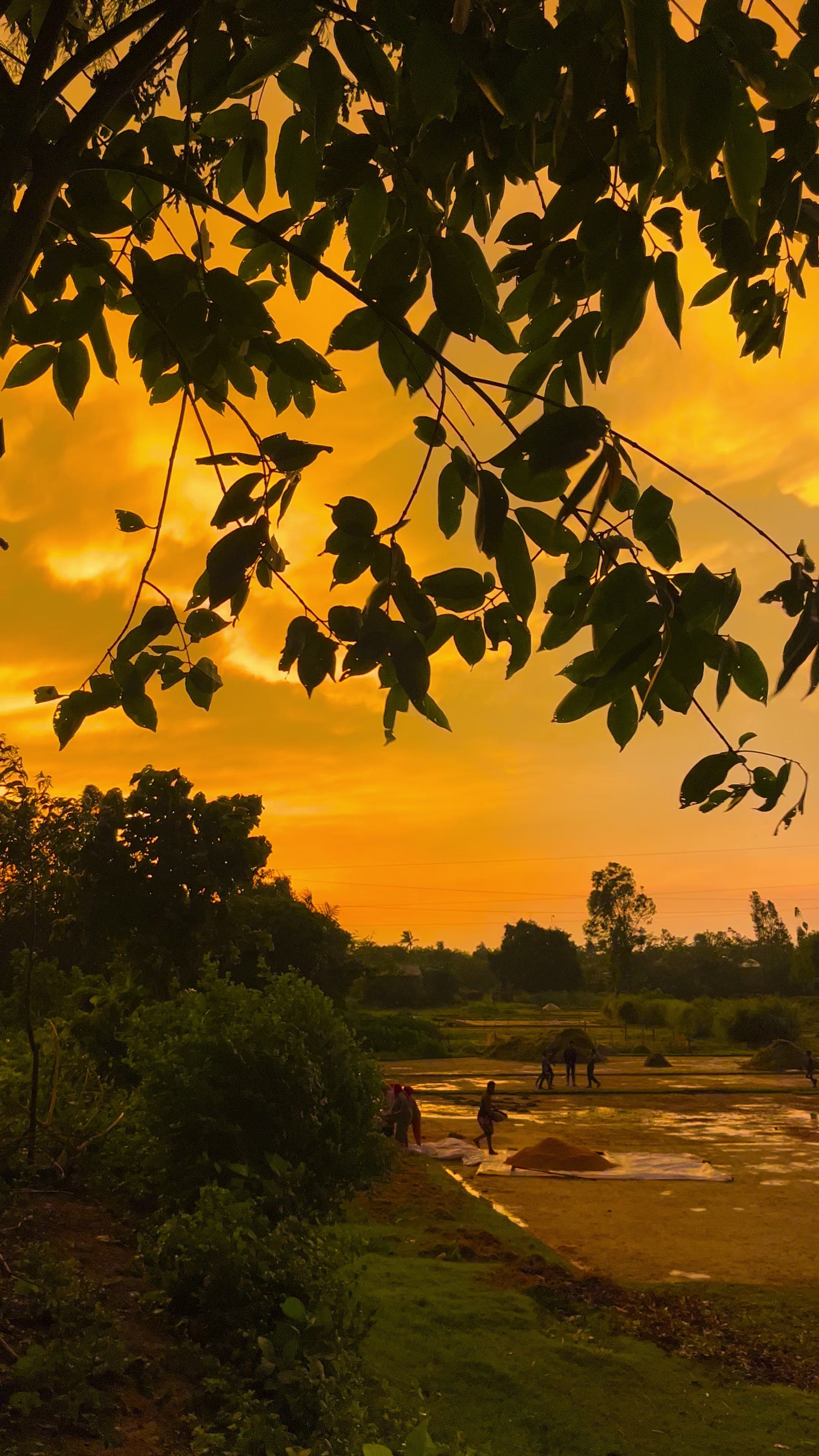 @ প্রকৃতি প্রেমিক সাইমন 🍃