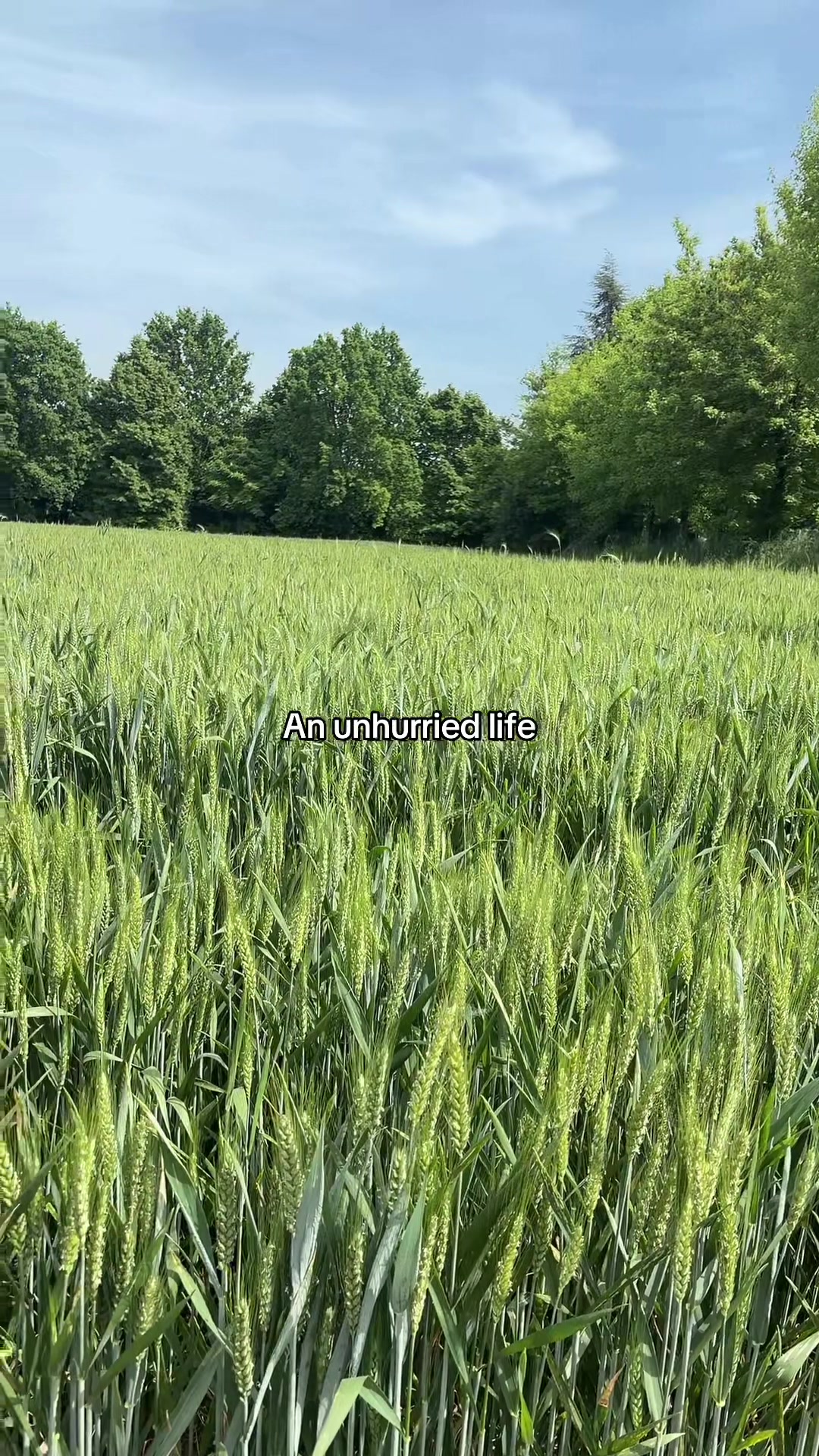 @bok&trade;🇮🇹