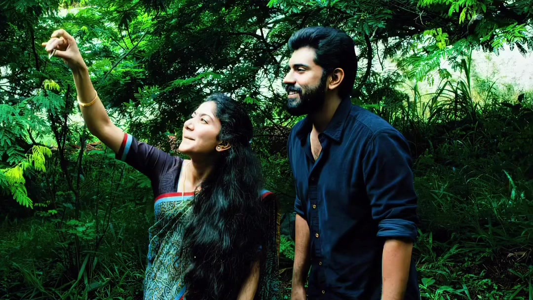 @Sai-Pallavi_ Fans