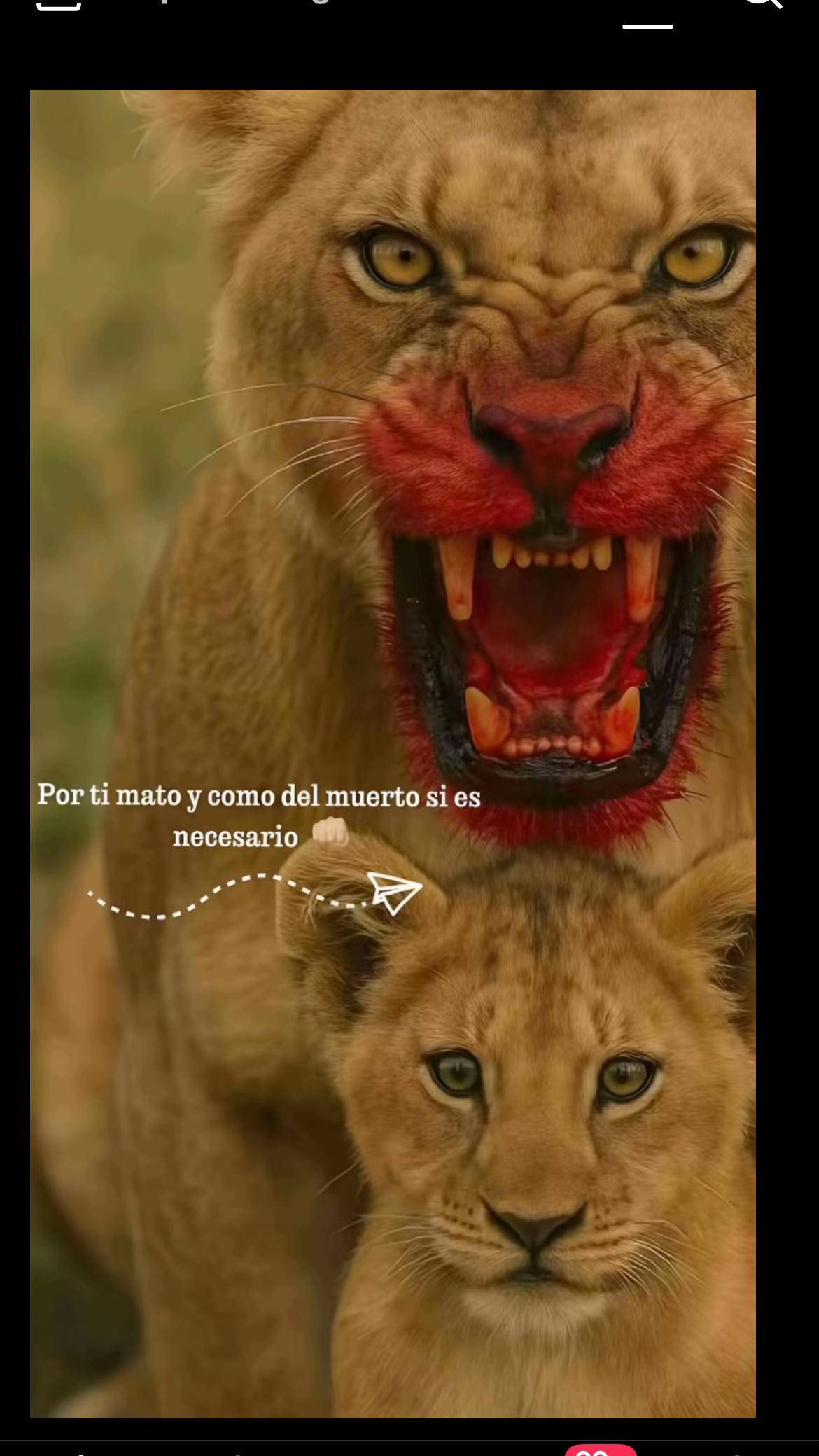 @casados 💙👑