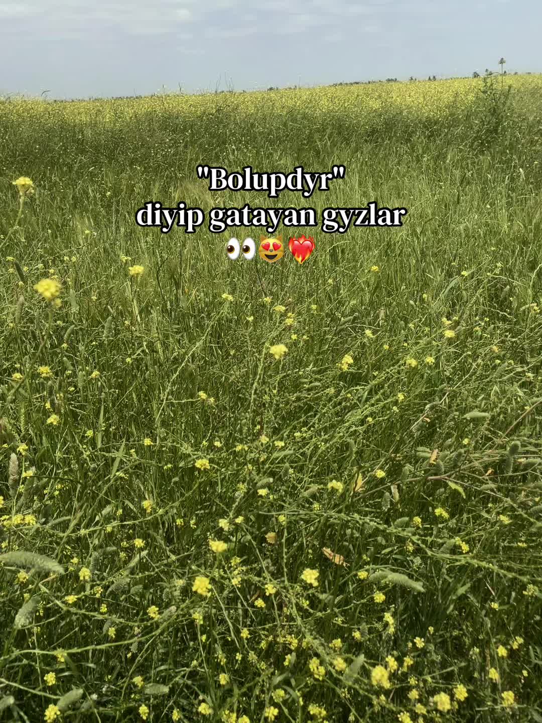 @𝑵𝒐𝒙𝒖𝒓_𝒑𝒓𝒊𝒗𝒗𝒗