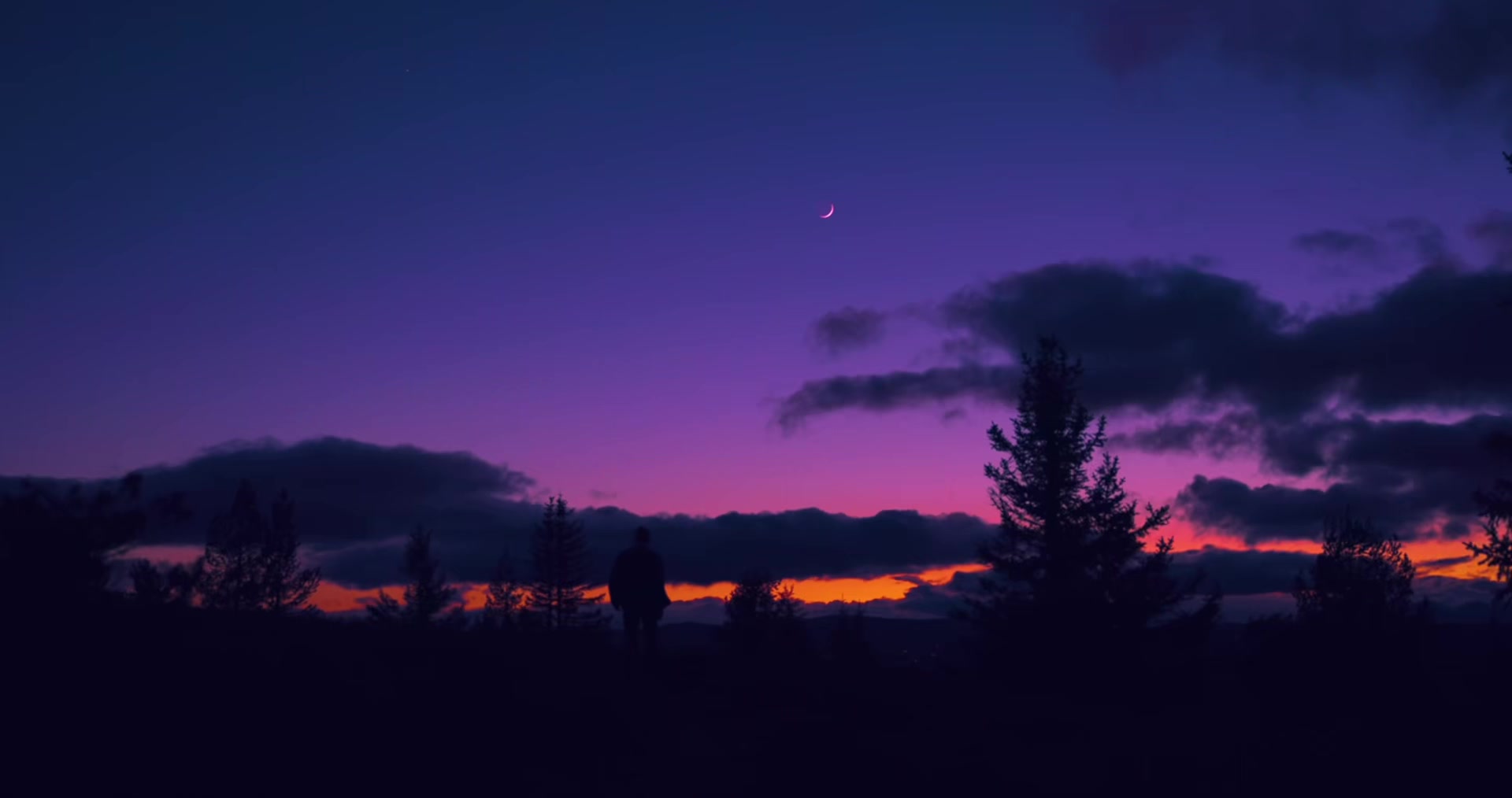 @Lush Visuals