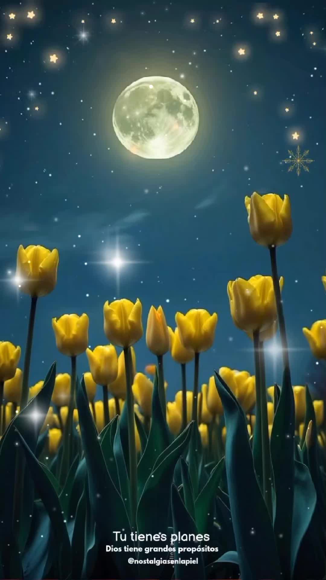 @nostalgiasenlapiel