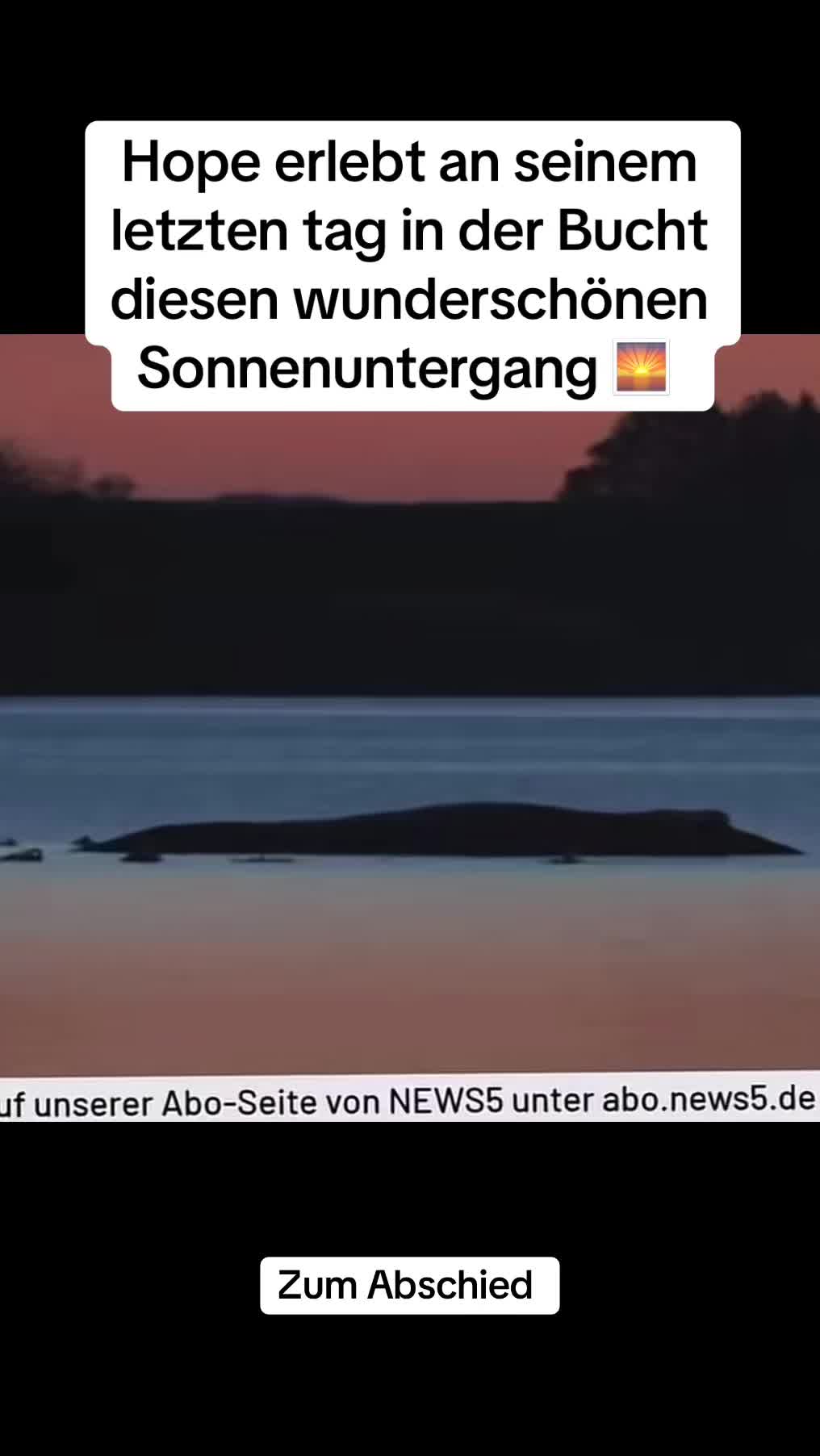 @Rettet Hope 🐋