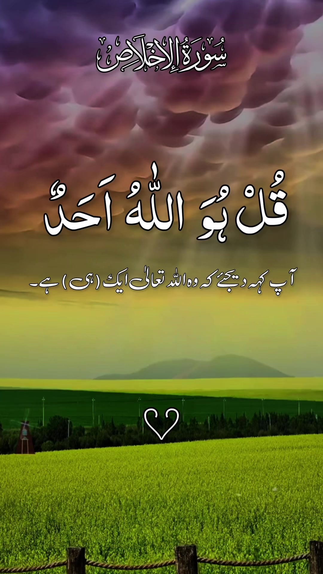 @❣️ Words of Allah ❣️