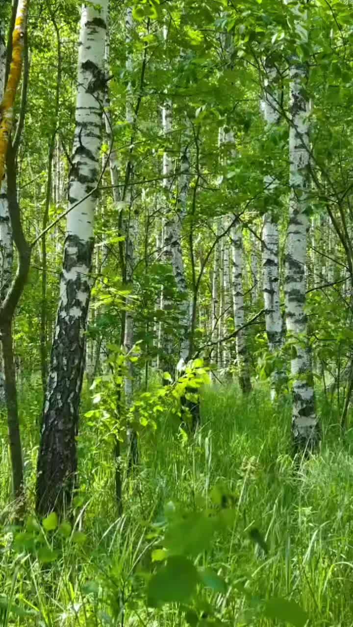 @Архитектор души