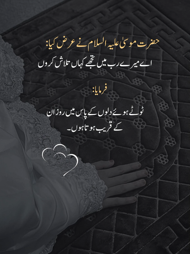 @اقصیٰ 🦋