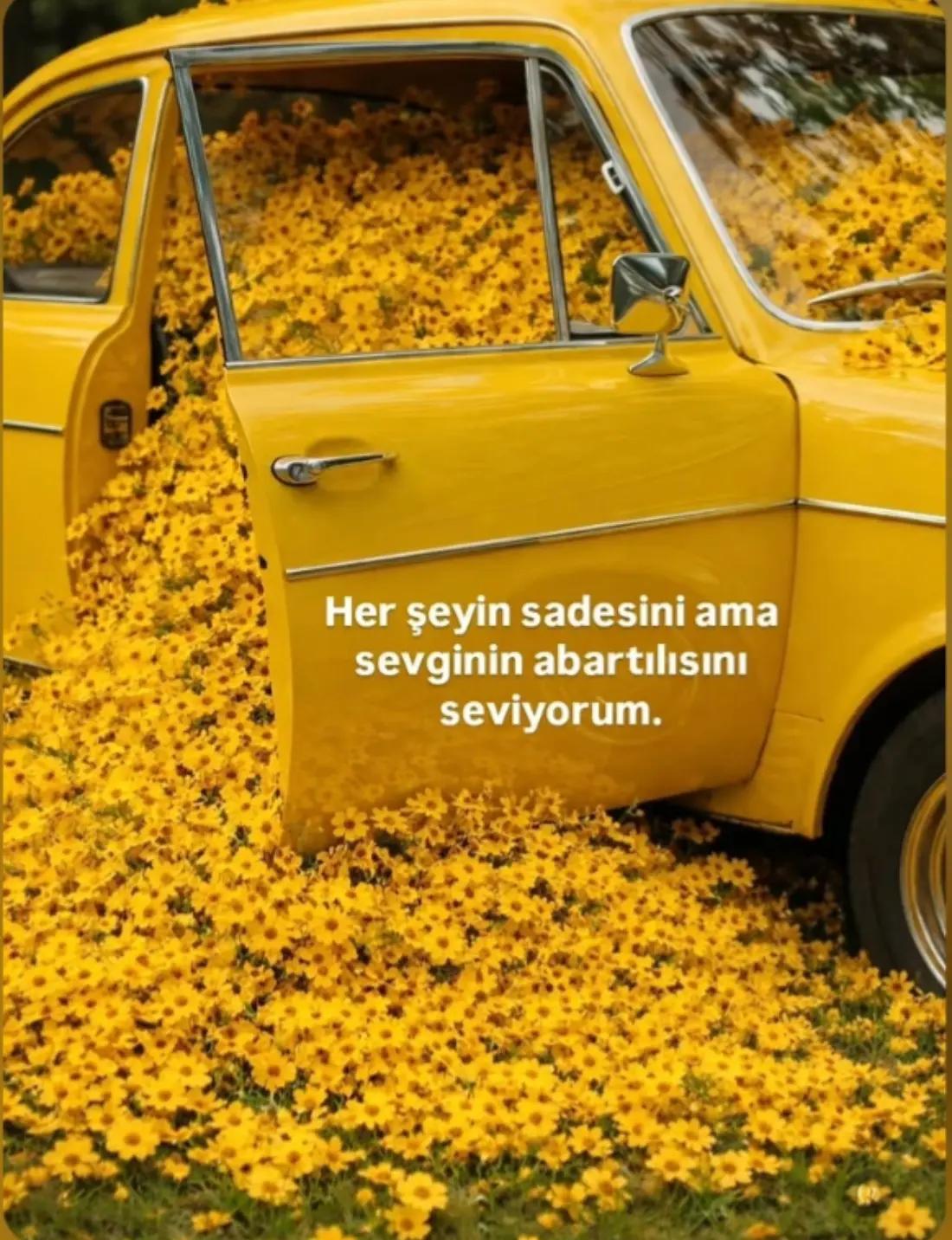 @🌹🥀