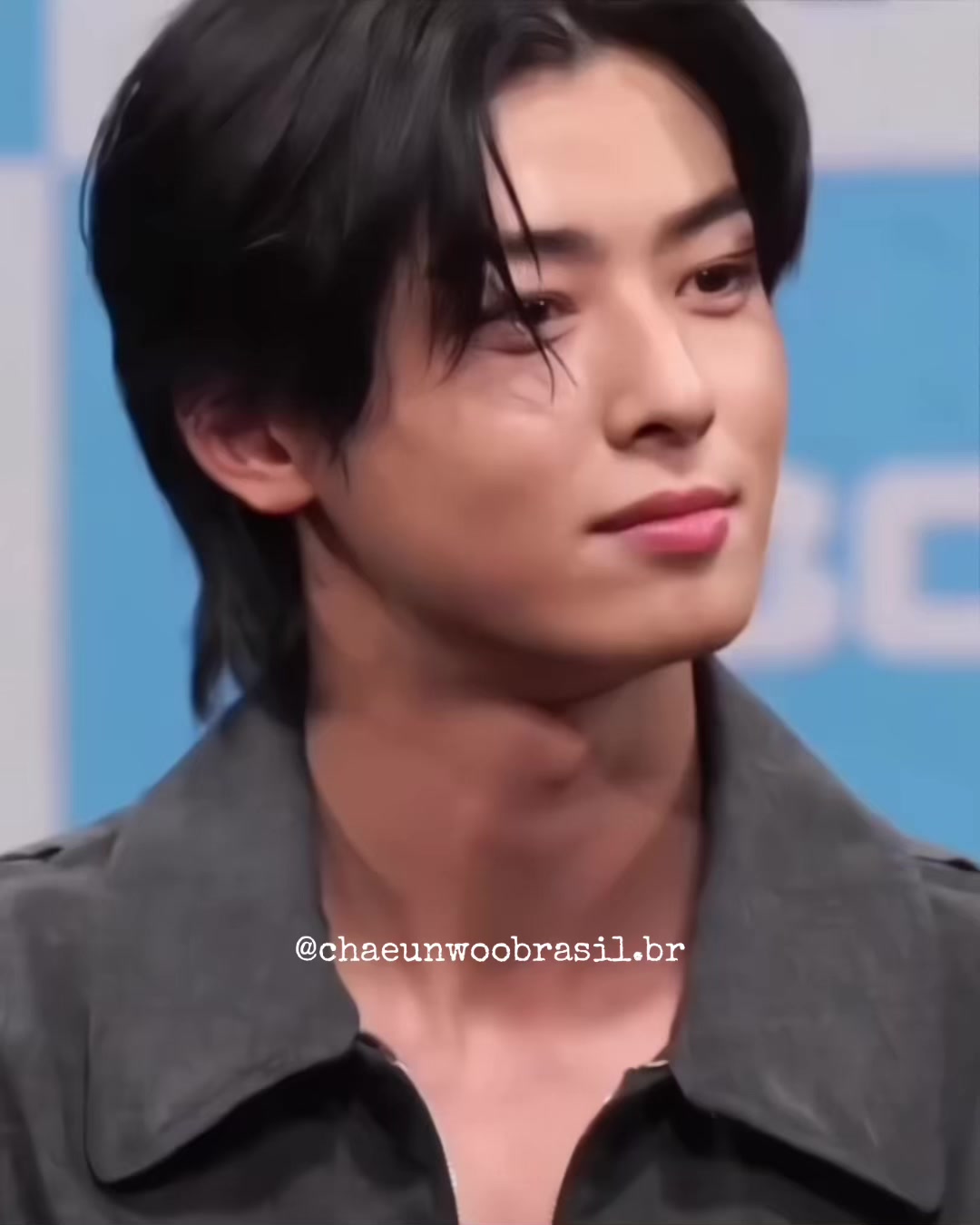 @chaeunwoobrasil.br