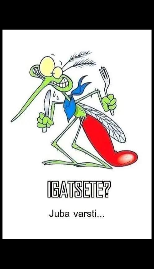@Tom🤟