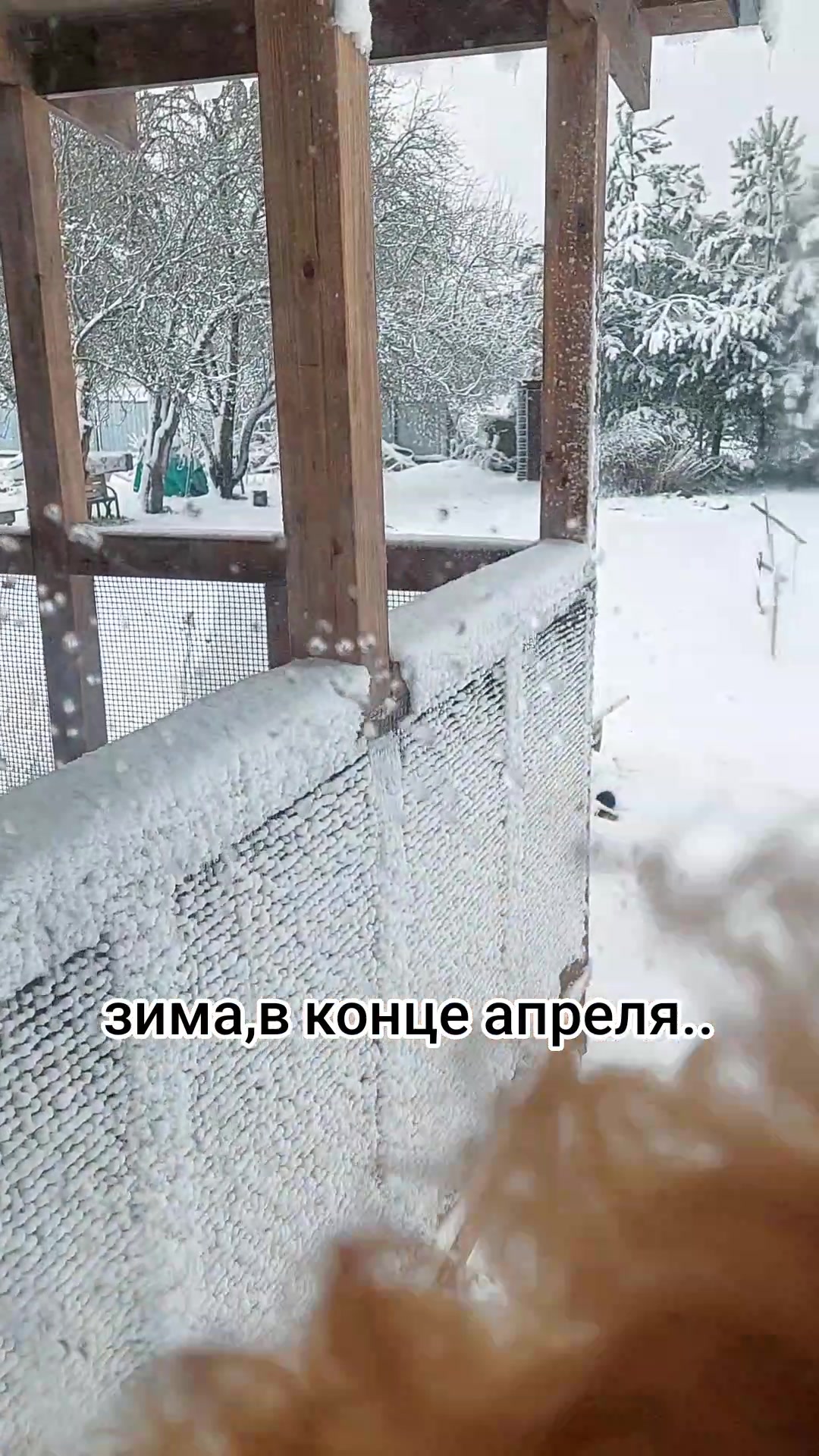 @Люси Кук