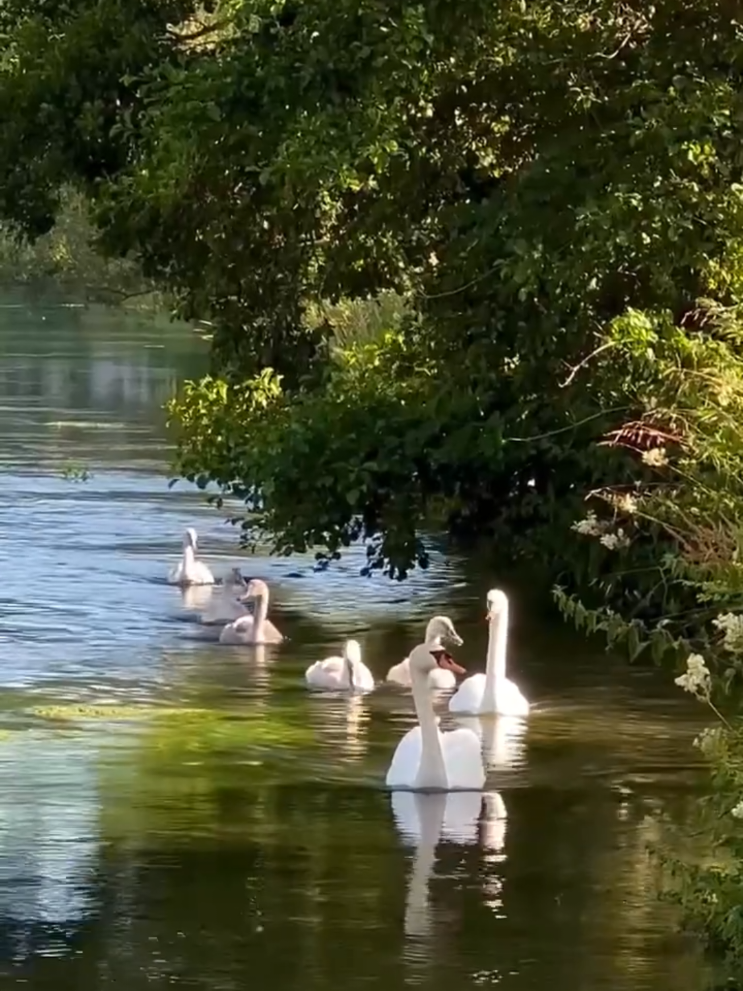 @Архитектор души