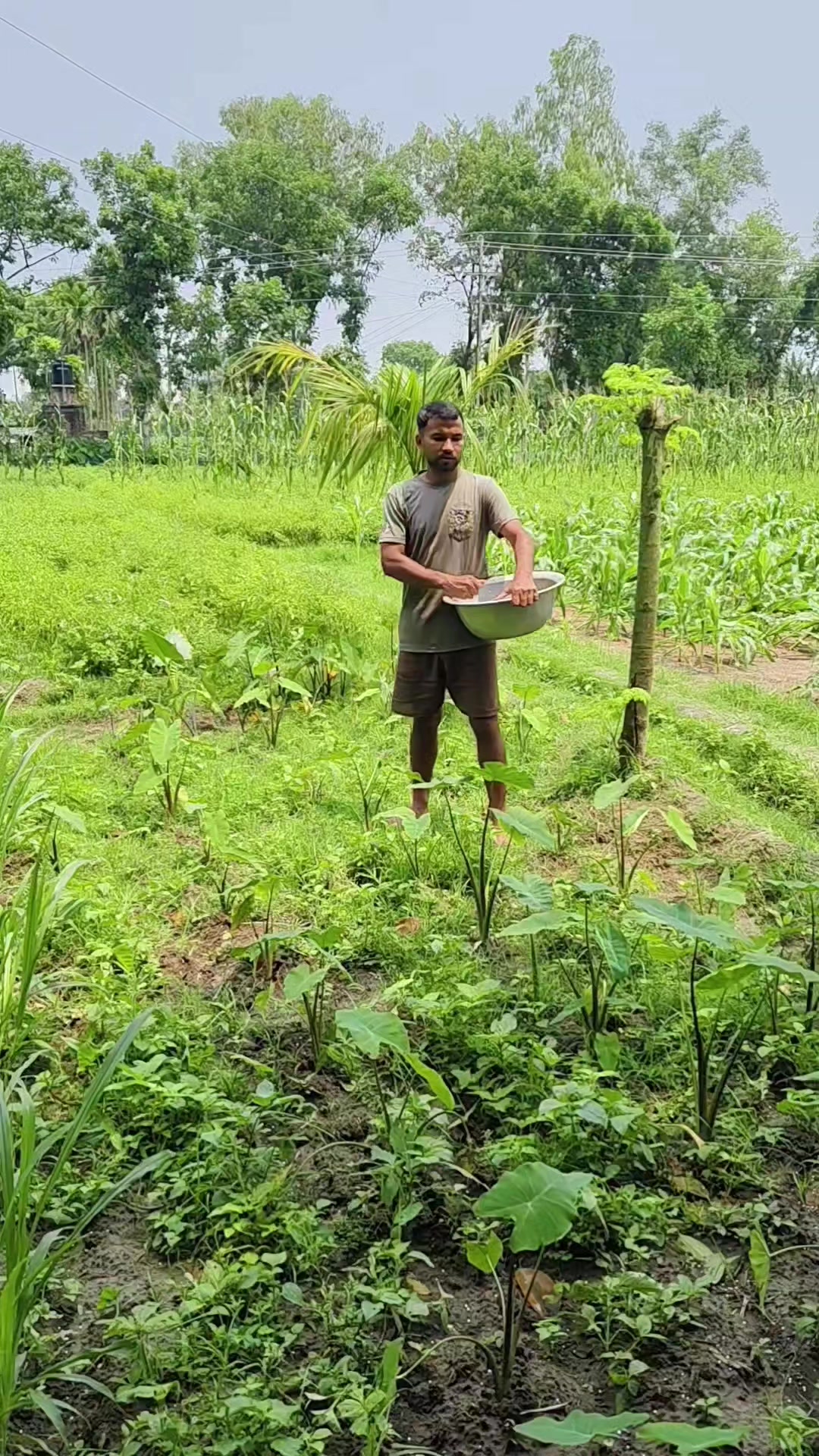 @Arun Chandra Ray | Nature Vibe