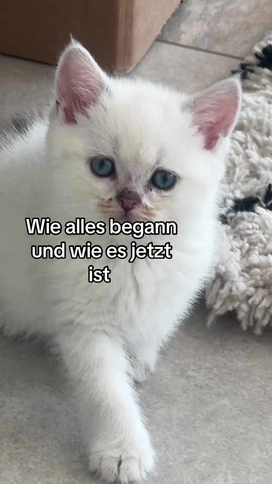 @Mirisbestlife