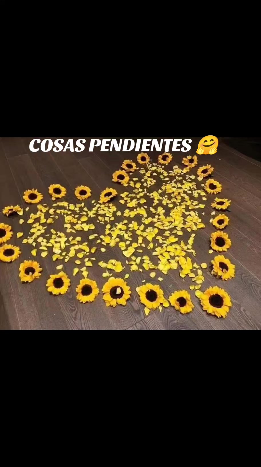 @COSTE&Ntilde;ITASOY🦅🦅
