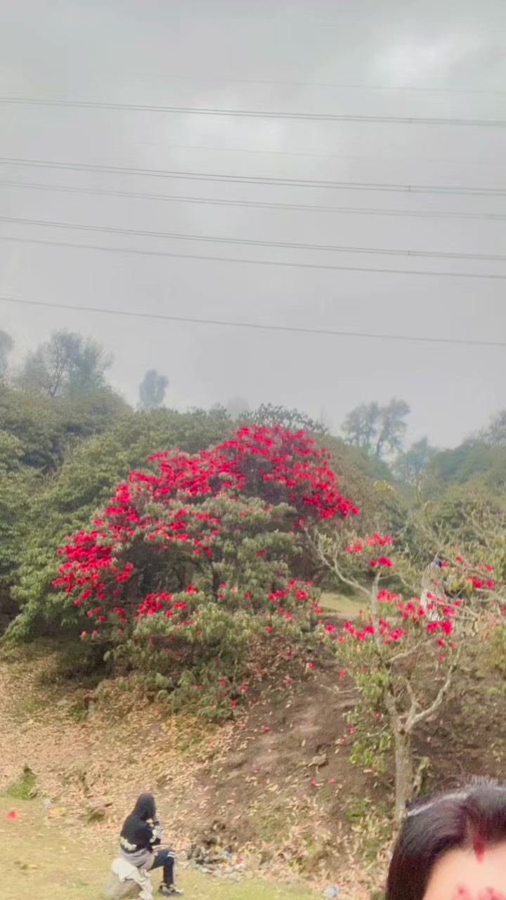 @Dr.Nirmala shah