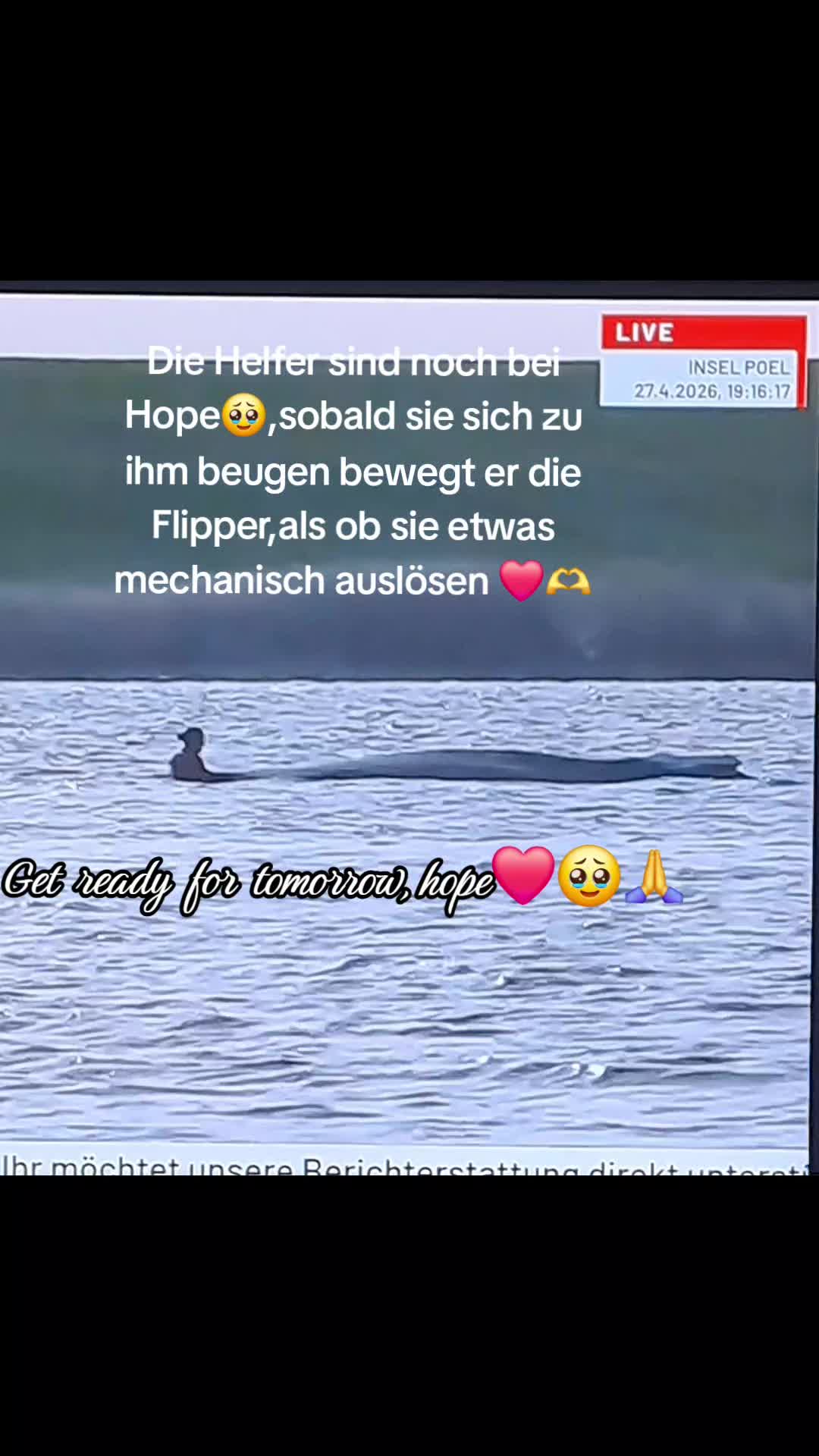 @ibrabo♡🐈&zwj;⬛🫶💞
