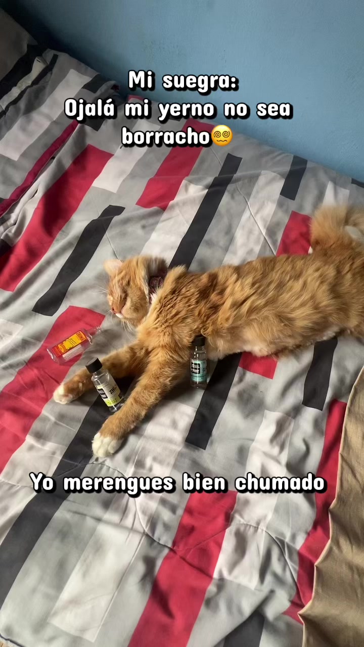 @Sam