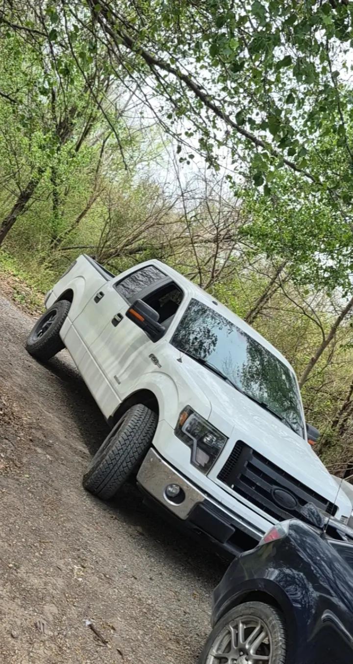 @shrum199