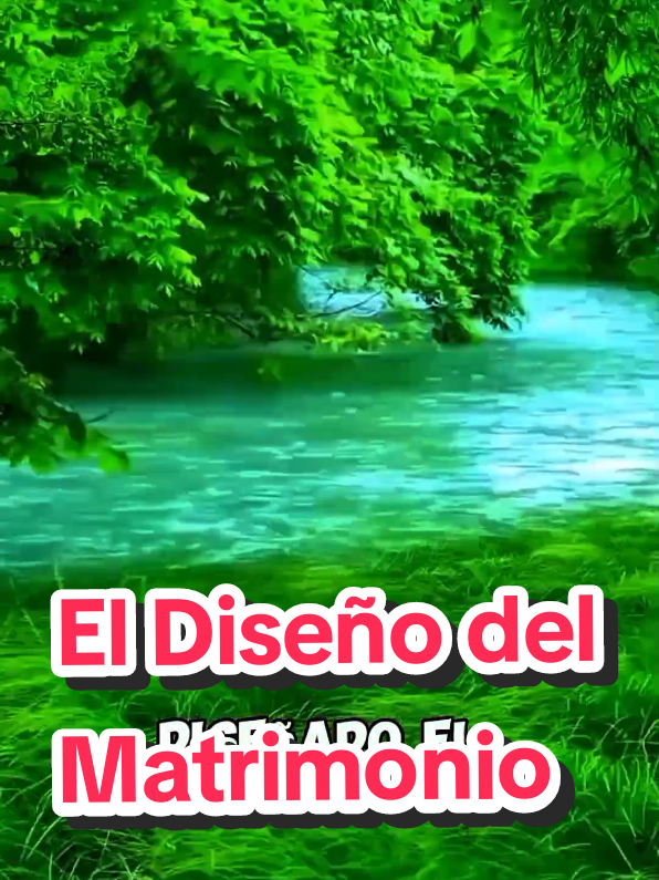 @PRINCIPIOS DE VIDA