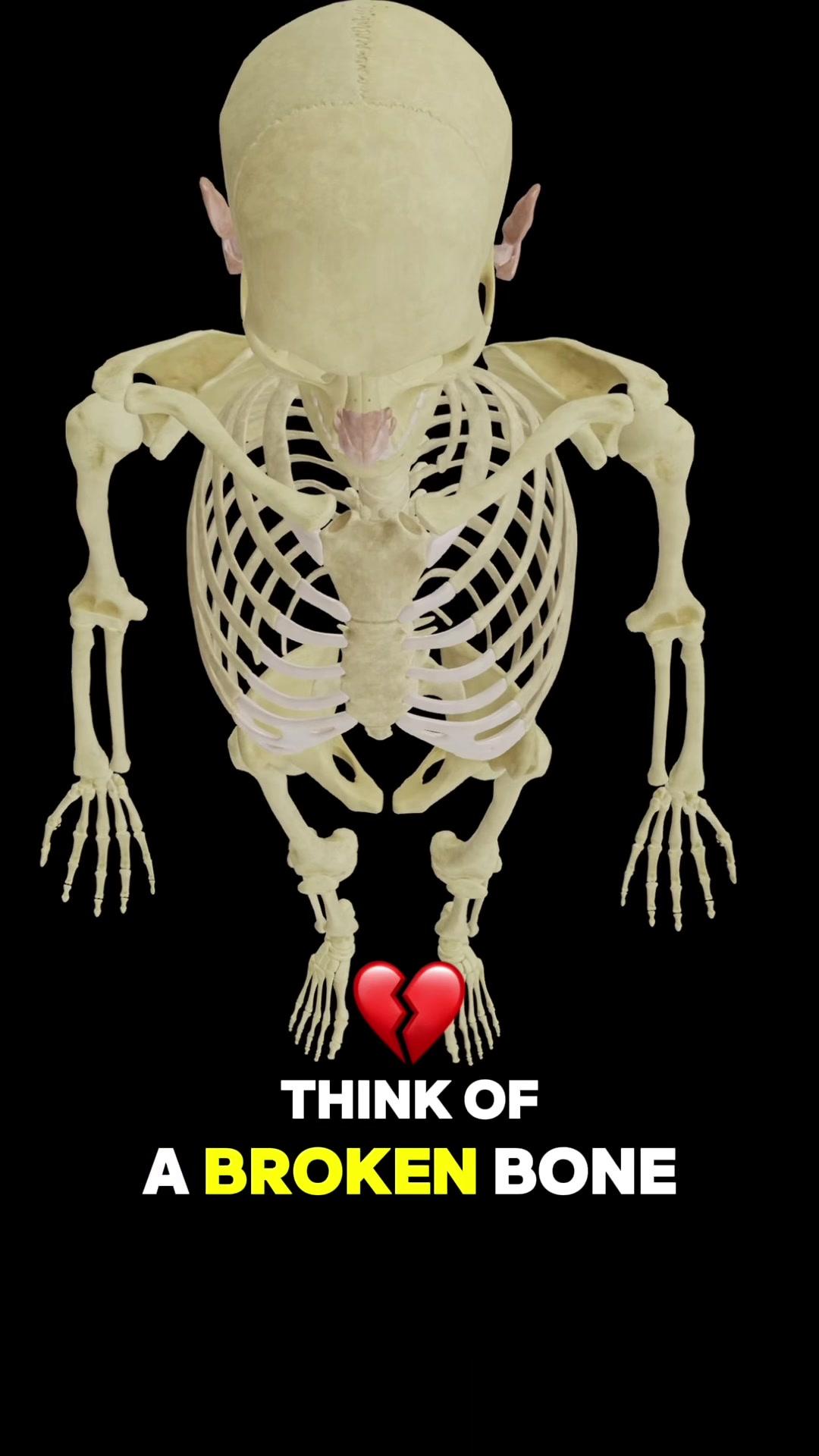 @Human Facts