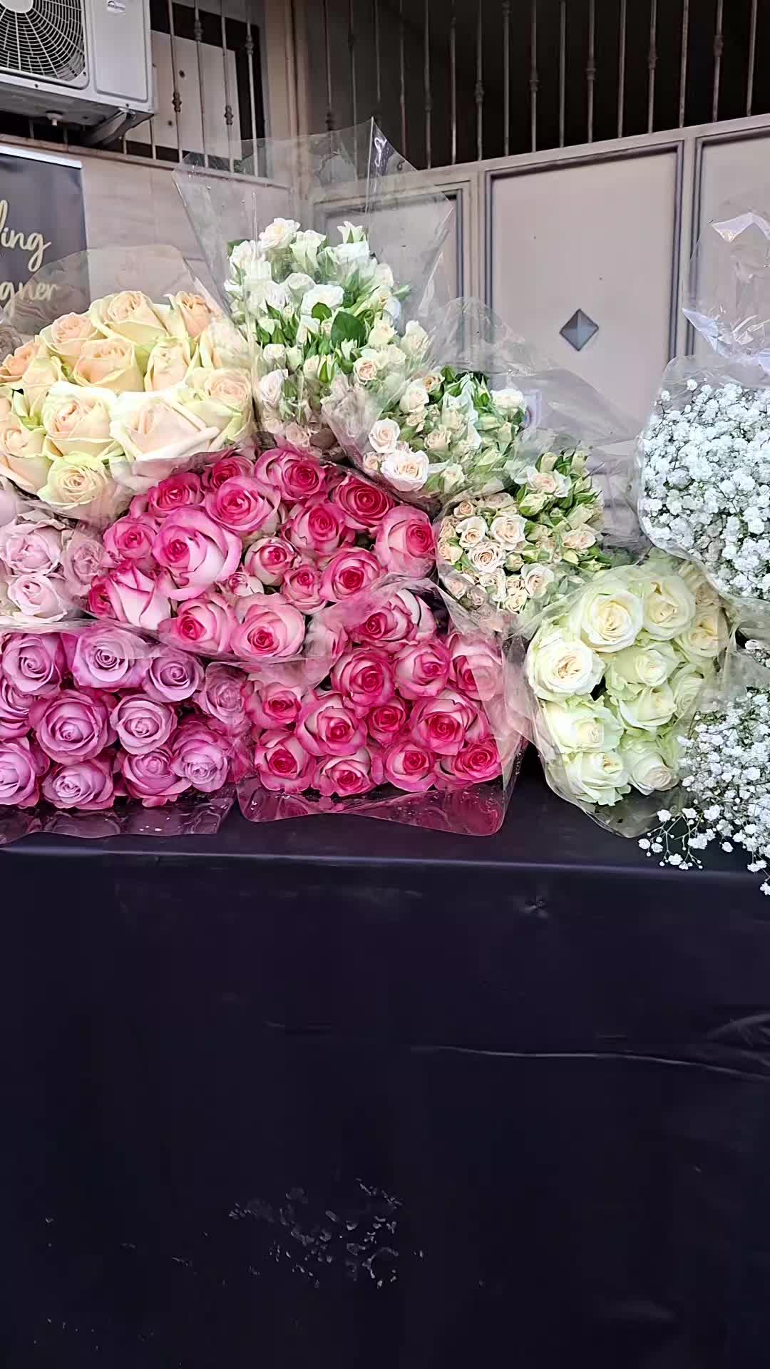 @rinascita 💚💚