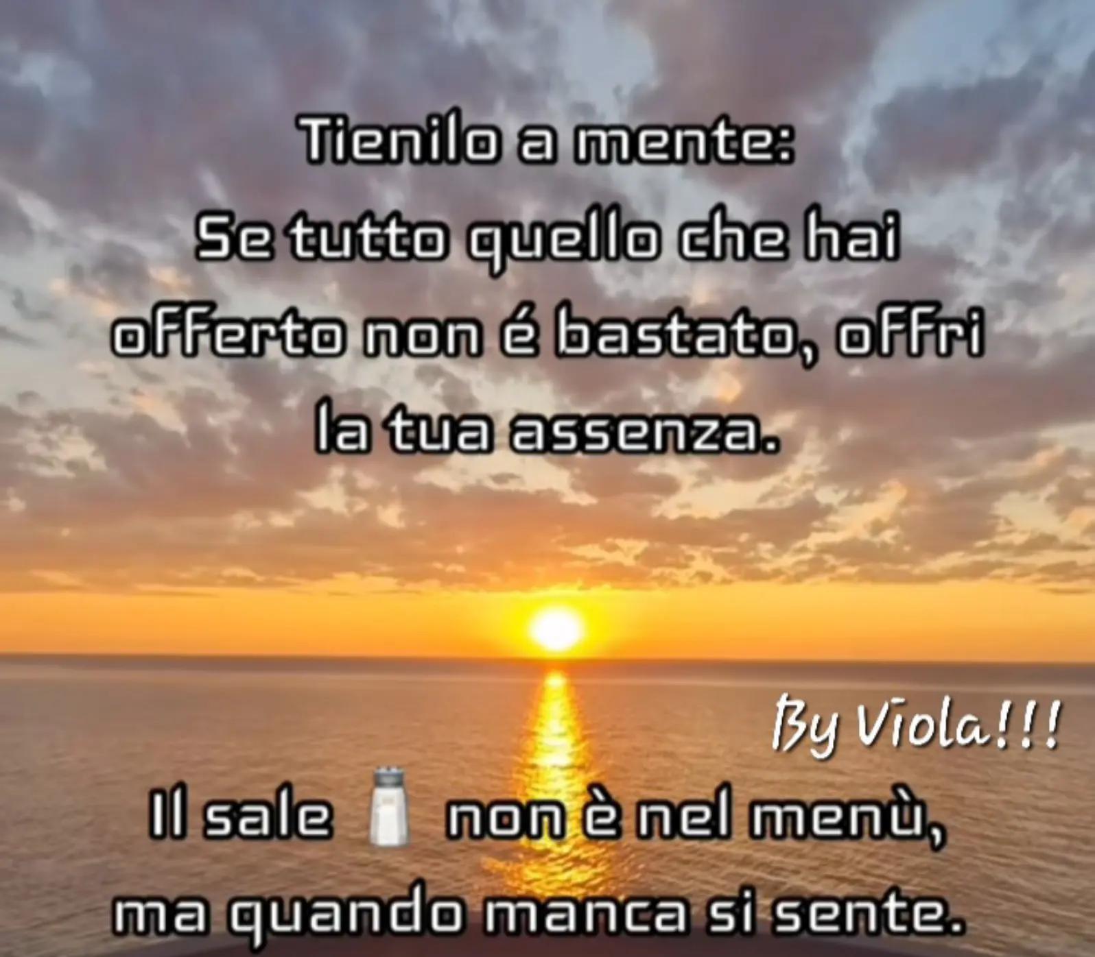 @Viola 8080