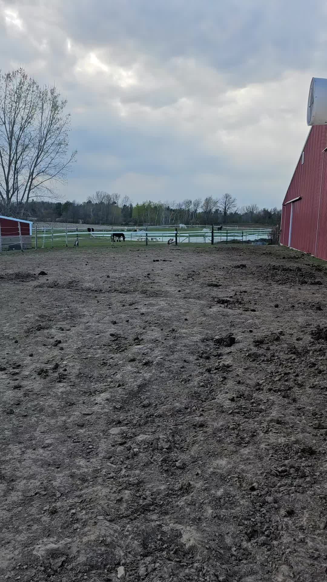 @Kismet Farm Crew