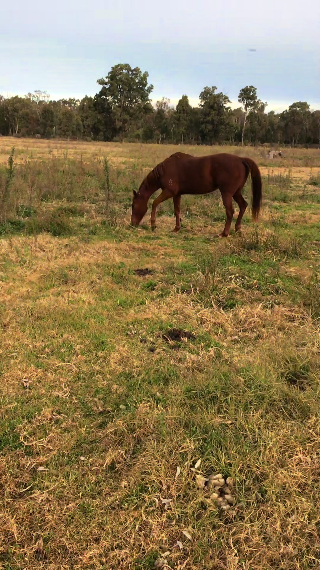 @martincentralcoastnsw