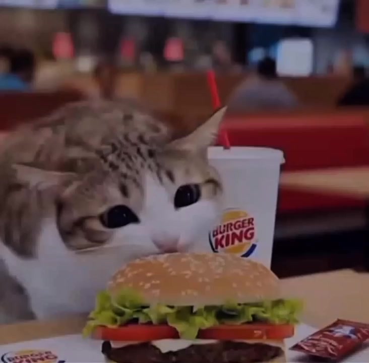 @★𝓐𝓵𝓮𝔁𝓲𝓼★