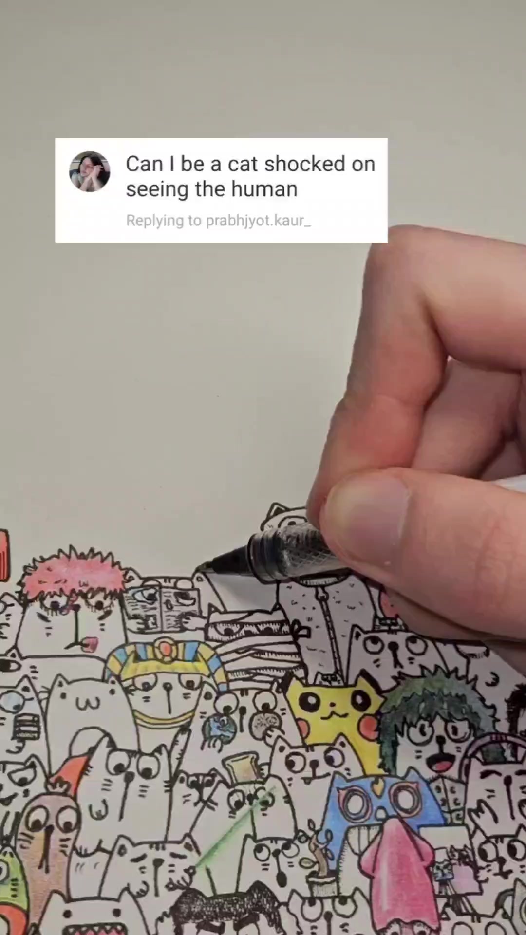 @StackofCatz