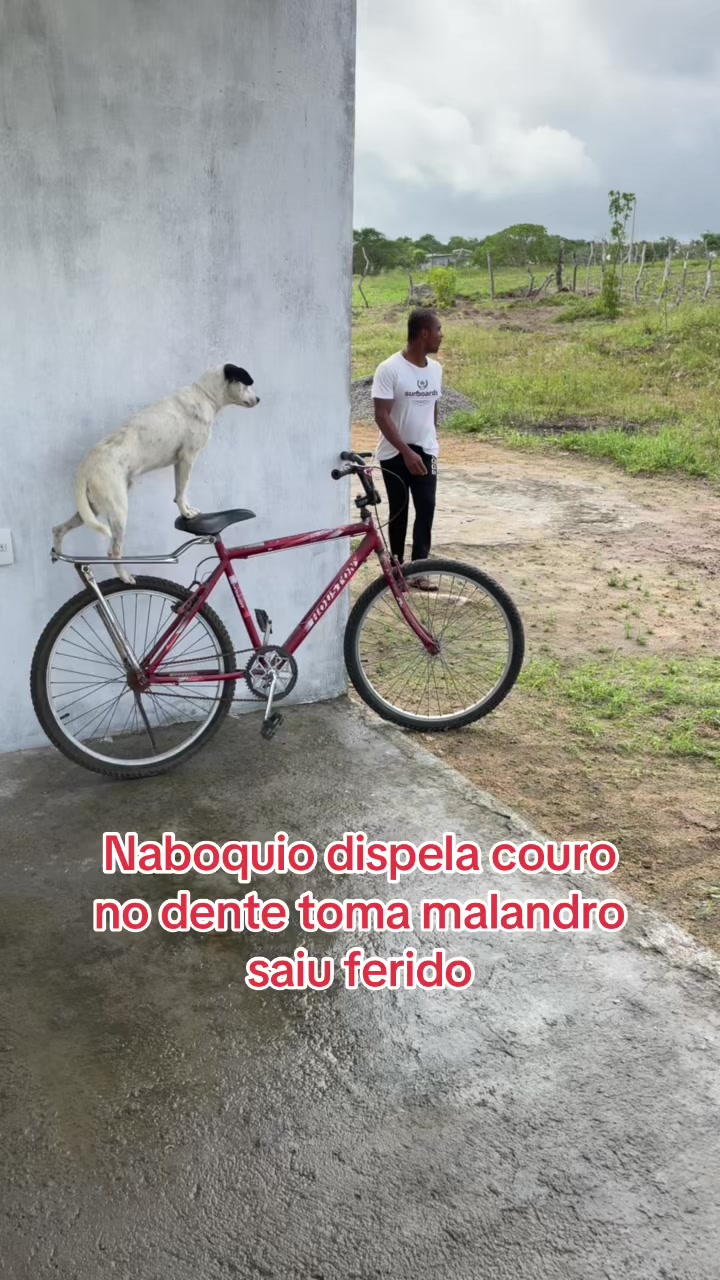 @Mano Alves