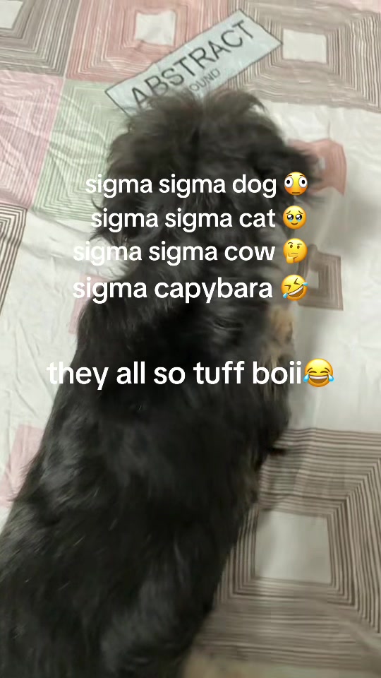 @alex