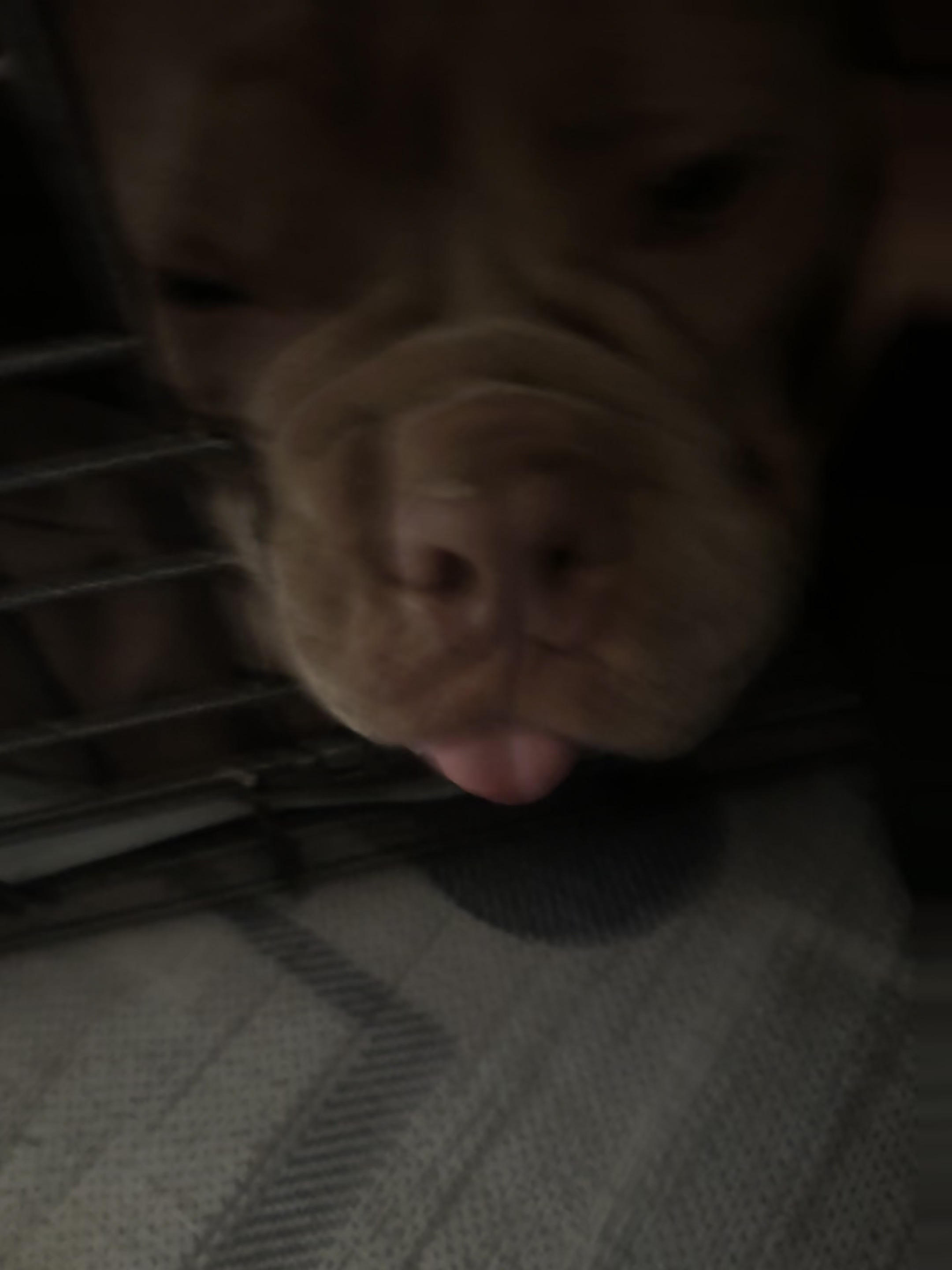 @𝐥𝐲𝐝𝐢𝐚 ྀིྀིྀིྀིྀི