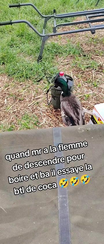 @Kikou80&Mick59Carpiste