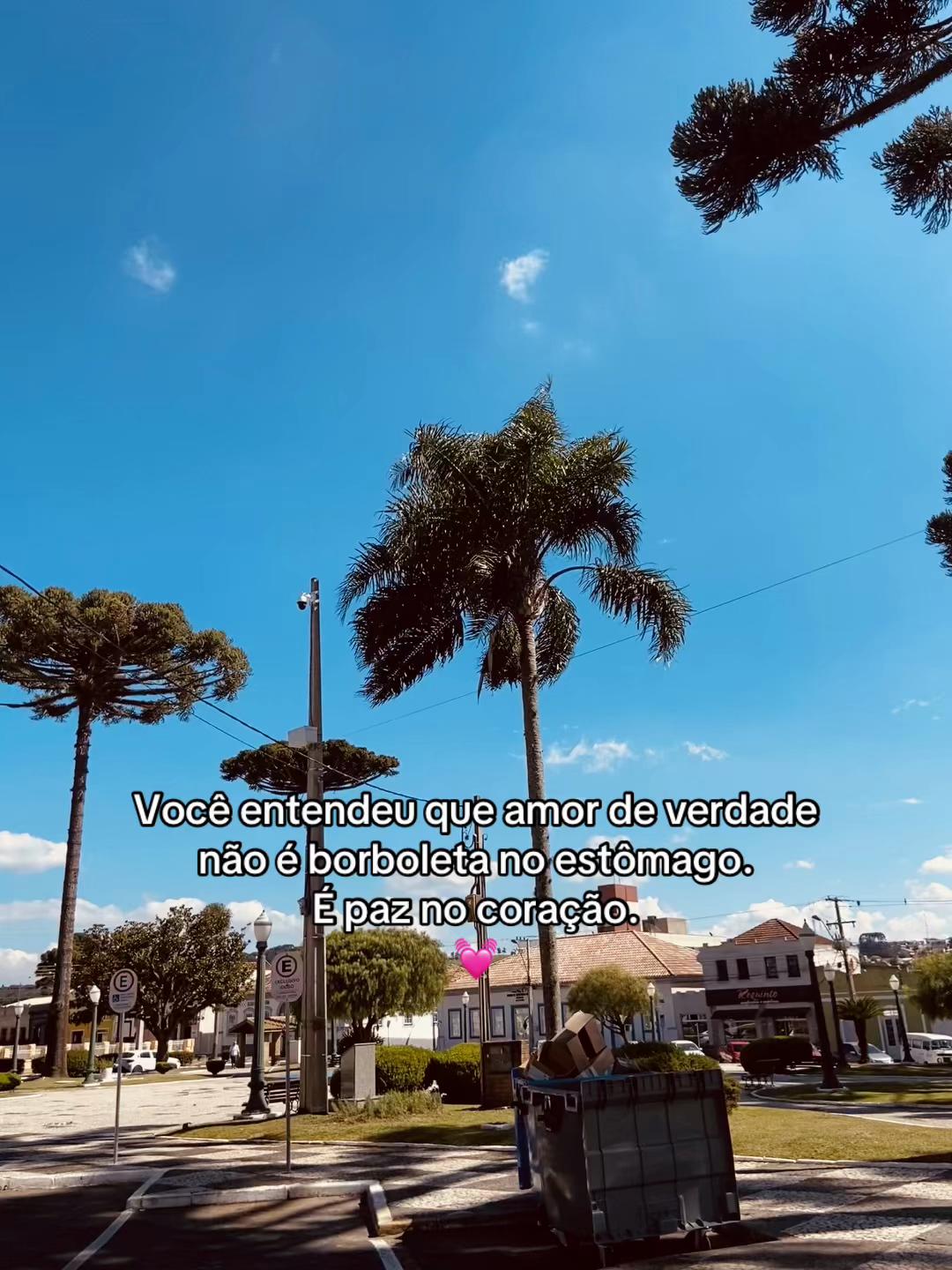 @kauane castanho🐼