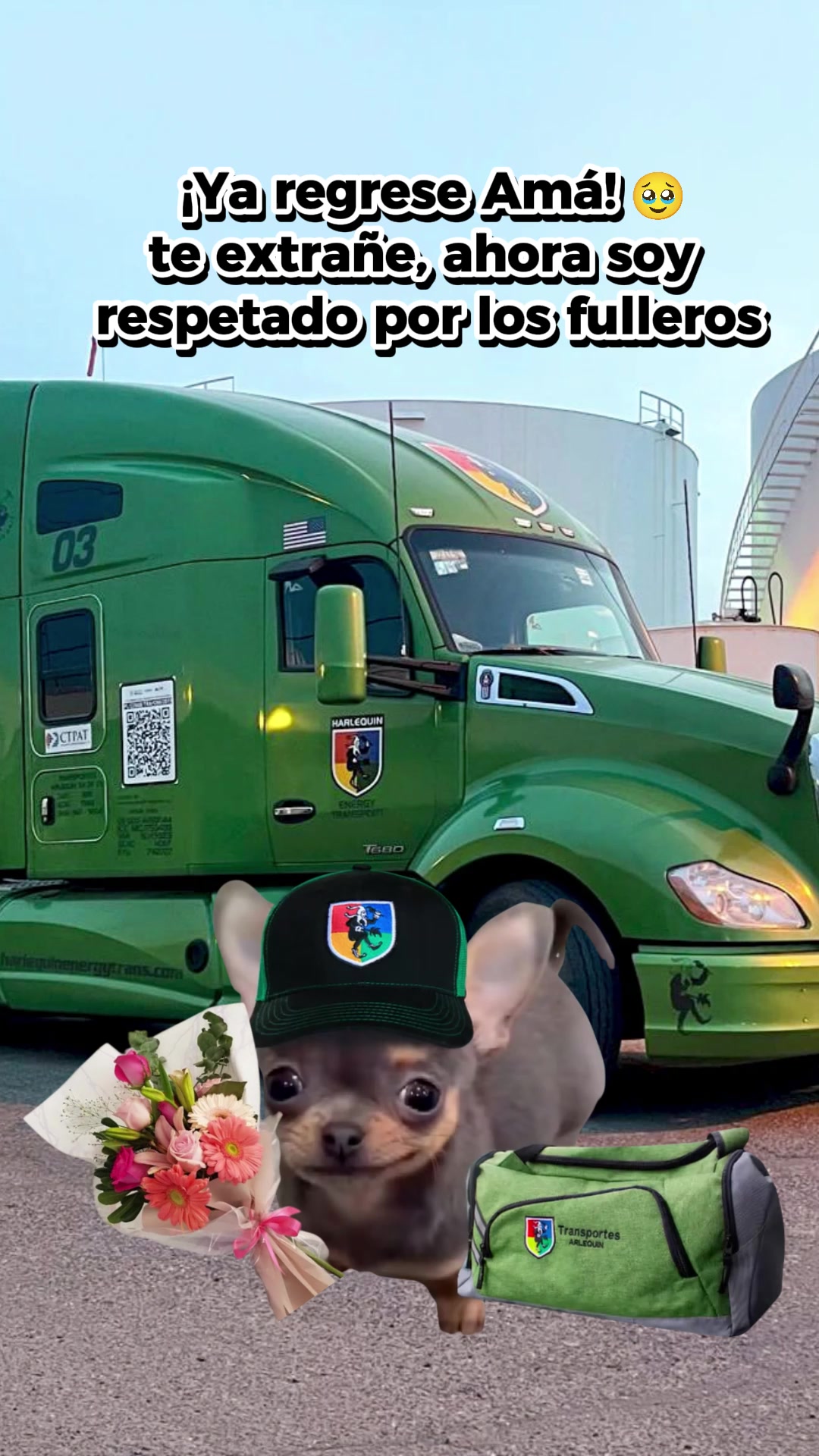 @Transportes Arlequín